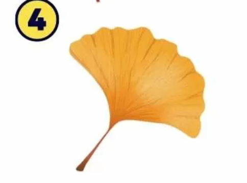 4 Ste resna in odločna oseba. Ste idealistični in živite po trdnih moralnih načelih. Imate močan občutek za pravičnost, hkrati …