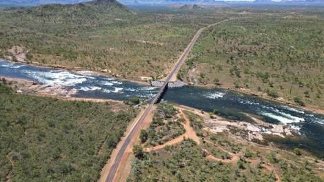 avstralija narava divjina znanost cebele nova vrsta zivali odkritje