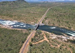Znanstveniki v divjini naleteli na nikdar videno odkritje: ko so pogledali od blizu, jih je spreletel srh