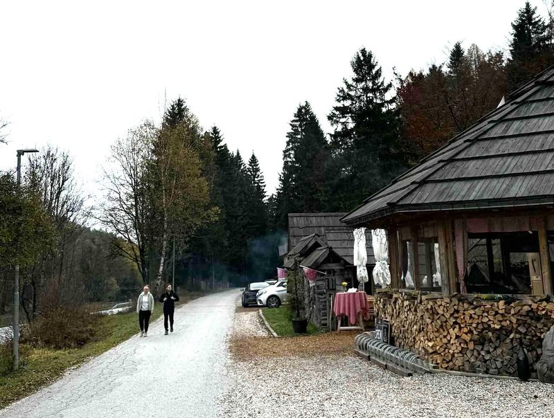 Kranjska gora brunarica Kosobrin