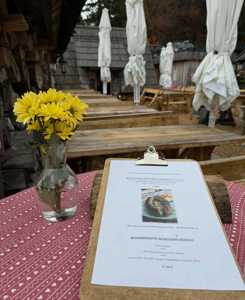 Kranjska gora brunarica Kosobrin