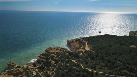 pacifik pacifiski ocean morje planet zemlja plosce dogajanje znanost umiranje