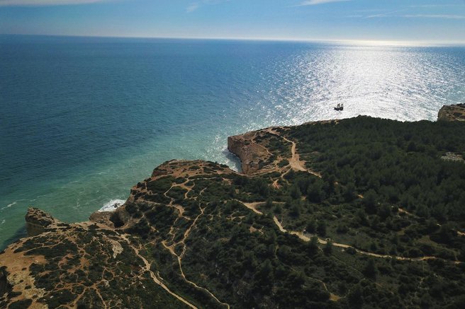 pacifik pacifiski ocean morje planet zemlja plosce dogajanje znanost umiranje