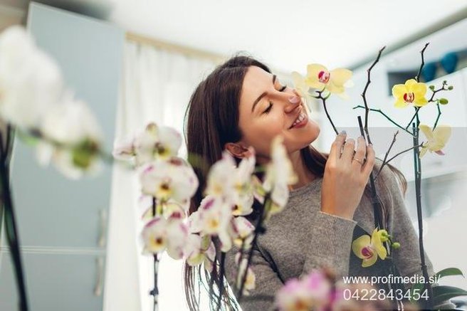 To so vonji, ki bodo vaše razpoloženje dvignili do višav (in obračali glave)