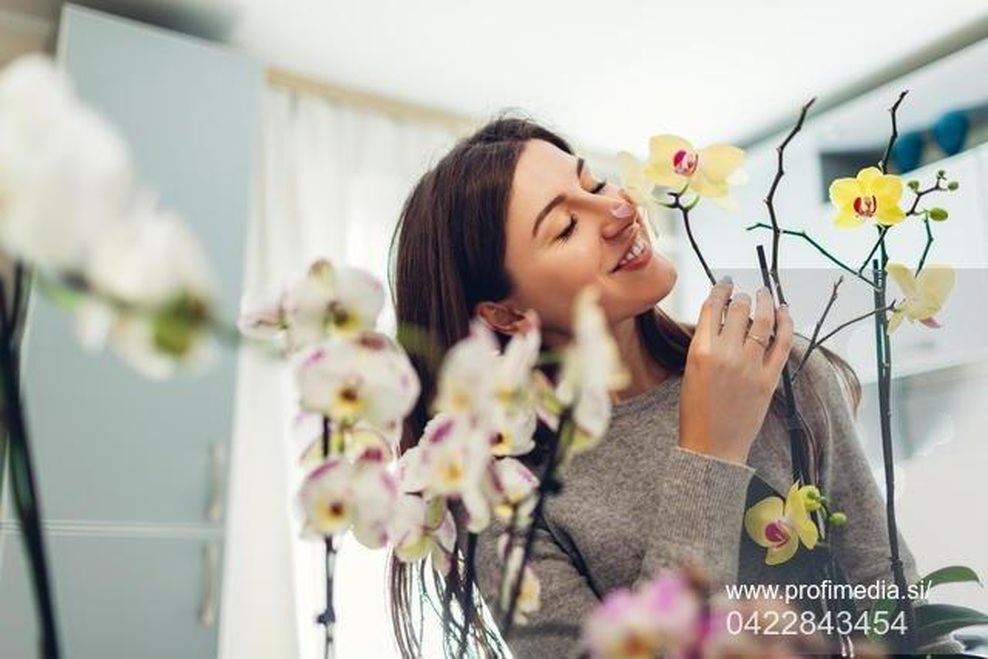 To so vonji, ki bodo vaše razpoloženje dvignili do višav (in obračali glave) (foto: PROFIMEDIA)