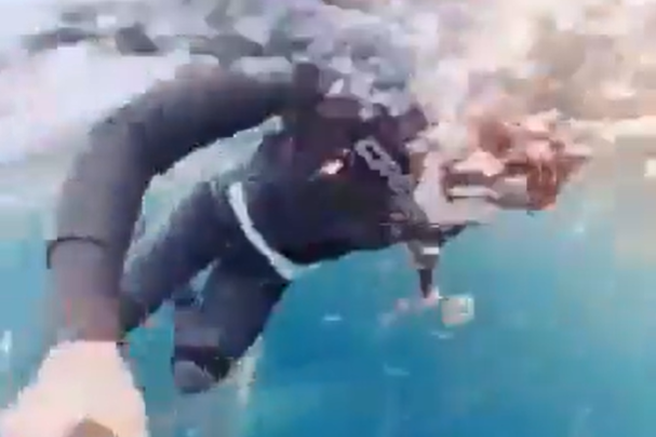 sinji kit potapljanje norveska zemlja zival usoda video