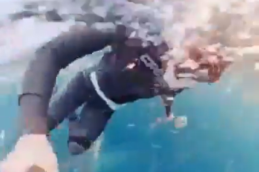 sinji kit potapljanje norveska zemlja zival usoda video