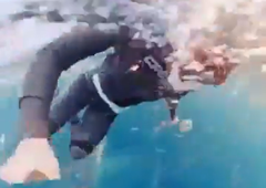 45-letnica se je potapljala na dah: ko se je iz globine dvignilo srhljivo bitje, je lahko le še sočno zaklela (VIDEO)