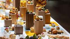 Pregledna razstava Centra Rog: na ogled 33 del 58 izjemnih ustvarjalcev