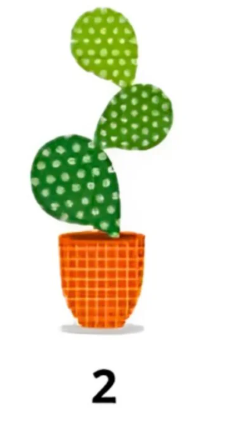 2 Če ste izbrali drugo rastlino, to nakazuje, da ste polni mladostne energije in veselja do življenja. Rastlina je postavljena …