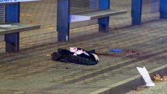 napad, Bavarski dvor