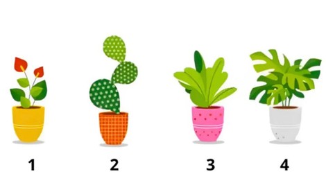 Katero rožo ste izbrali? Psihološki test, ki razkriva vašo realno starost