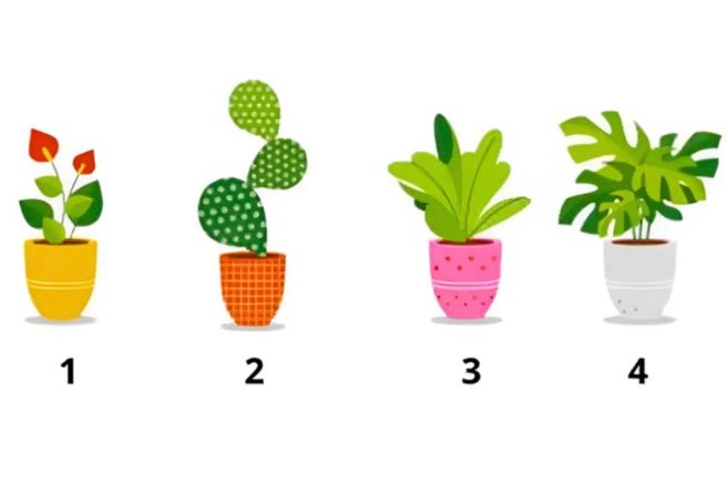 Katero rožo ste izbrali? Psihološki test, ki razkriva vašo realno starost