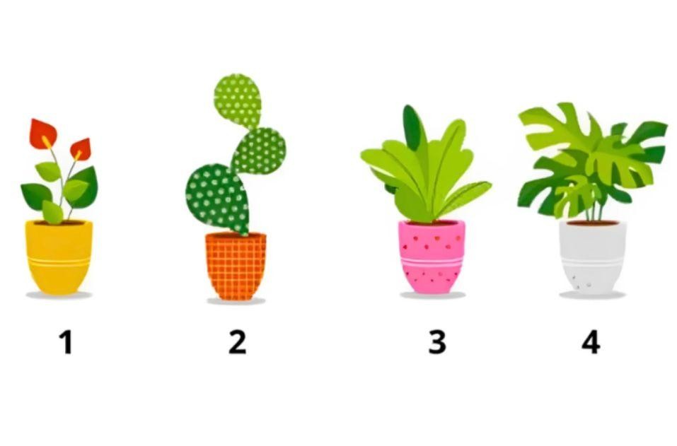 Na izbiro imate štiri rože - katera vam najbolj pade v oči? Kliknite naprej, da izveste več ...