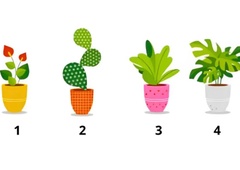 Katero rožo ste izbrali? Psihološki test, ki razkriva vašo realno starost