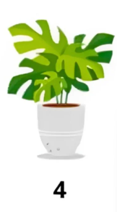 4 Izbira četrte rastline, ki je v belem lončku, kaže na duševno starost med 26 in 35 let ter odraža …
