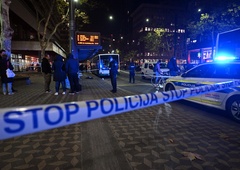 Znanih več informacij o napadu na Bavarskem dvoru: policija razkrila, kakšno je stanje voznika avtobusa