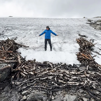 norveska led narava zivali pokol lov jeleni bergen