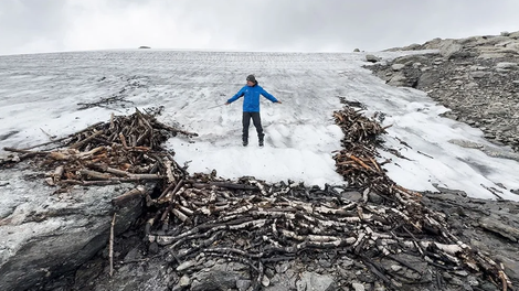 norveska led narava zivali pokol lov jeleni bergen