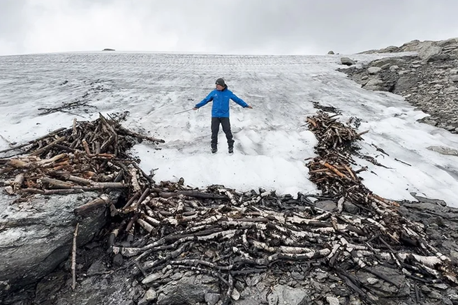 norveska led narava zivali pokol lov jeleni bergen