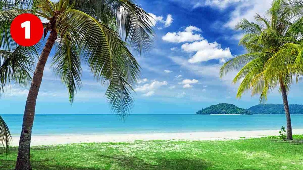 1 Če vas pritegne ta miren zaliv, to pomeni, da imate mirno, skrbno in prijetno osebnost. Ste prizemljeni in po …