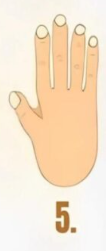 5 Če vaša dlan spominja na peti tip, vas odlikujeta spontanost in ustvarjalnost. Življenje dojemate s svežo perspektivo in uživate …