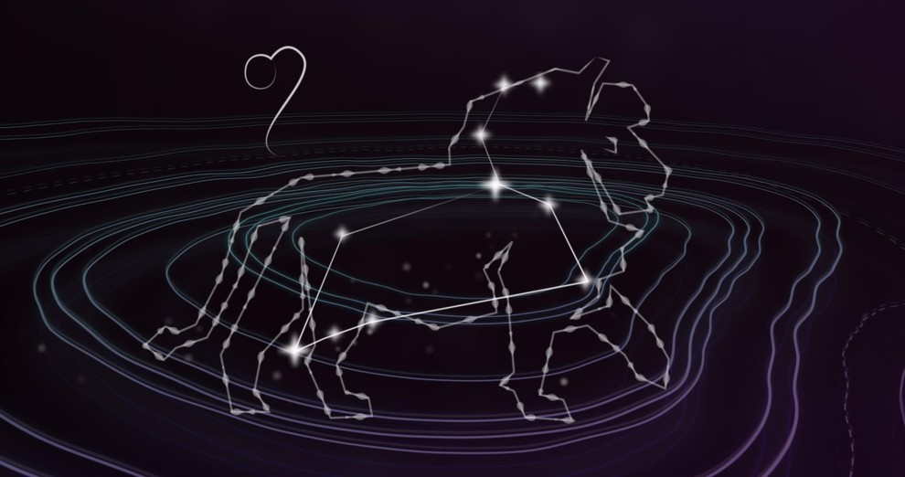 LEV Baba Vanga je leve videla kot rojene vodje, ki s svojo karizmo navdihujejo druge. Po njenih besedah jih odlikuje …