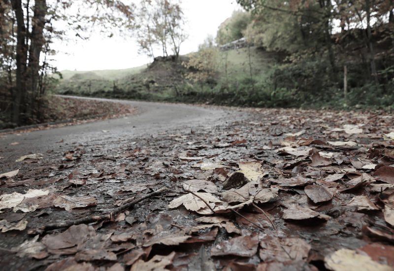 cesta, listje, nesreča