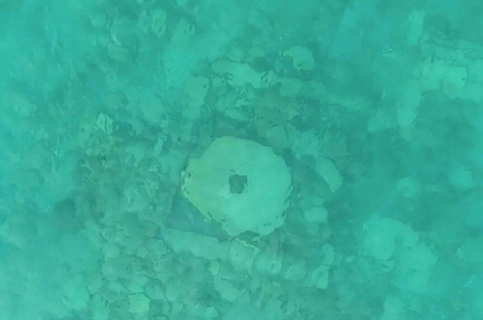 Potapljači v mirnem jezeru naleteli na osupljivo najdbo: kar 500 let je na dnu ležal dokaz grozljivega uničenja (foto: Russian Academy of Sciences)