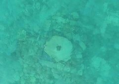 Potapljači v mirnem jezeru naleteli na osupljivo najdbo: kar 500 let je na dnu ležal dokaz grozljivega uničenja