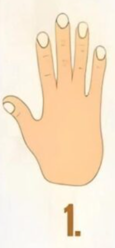 1 Če vaša dlan spominja na prvi tip, ste izjemno predani doseganju svojih ciljev. Trdo delo in vztrajnost sta vaši …