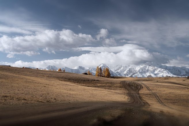 altaj kazahstan odkritje arheologija zgodovina stepa mesto najdba