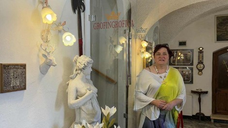 Preddvor grad Dvor grofica