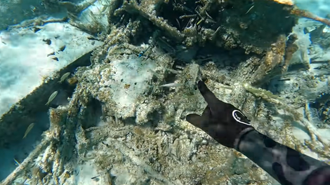 Potapljači Španija arheologija zgodovina človeštvo Atlantida Platon morje odkritje potapljanje