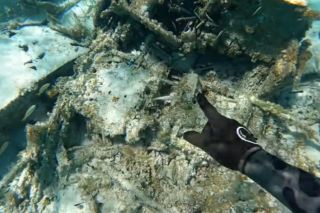 Potapljači Španija arheologija zgodovina človeštvo Atlantida Platon morje odkritje potapljanje