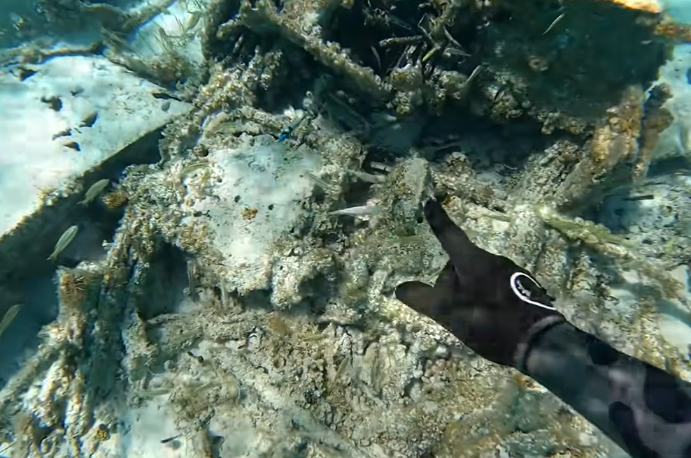 Fotografija je simbolična. (foto: YouTube/posnetek zaslona)