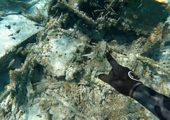 Potapljači so se ob obali otoka spustili pod morsko gladino in doživeli šok stoletja: dokaz, da je vse, kar je trdil Platon, čista resnica?!