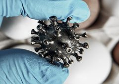 V Ljubljani in Kopru odkrili nevarno bolezen: pozivajo k upoštevanju preventivnih ukrepov