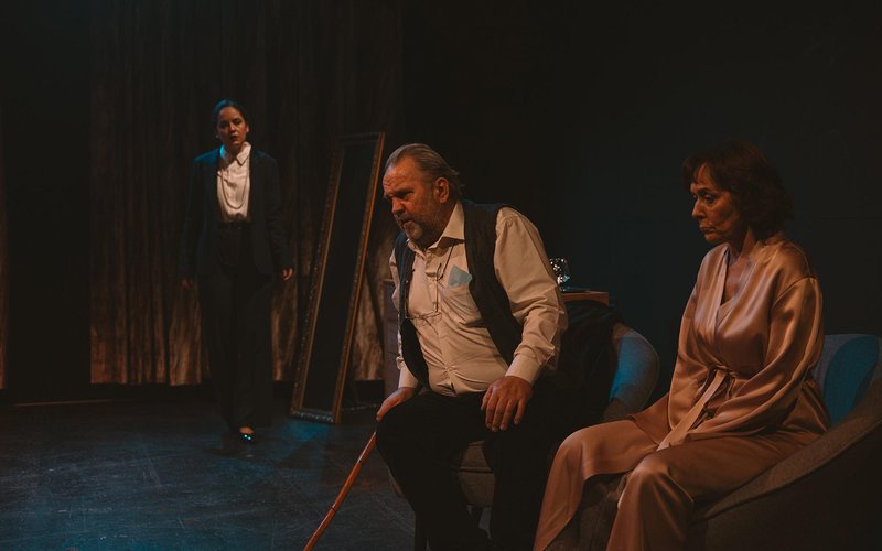 Predstava, Izginjanje, gledališče, MGL