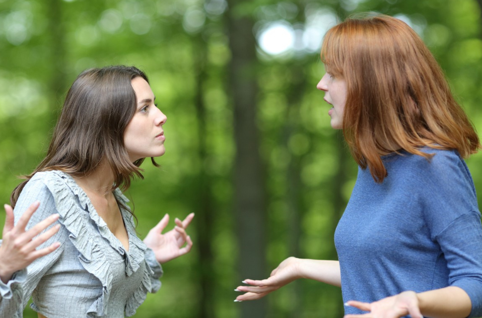 1. Dvojčka Dvojčki pogosto načrtujejo več, kot jim dopušča čas, zato jih kaos hitro dohiti. Ko stvari ne gredo po …