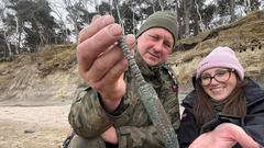 Kamien Land bodalo Poljska zgodovina arheologija muzej