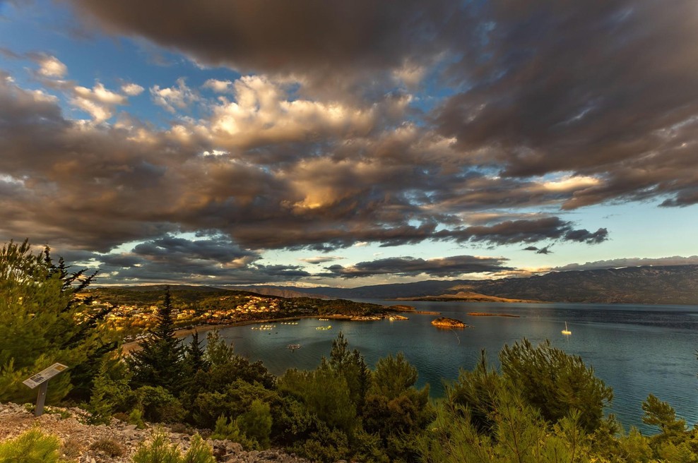 Prebivalci na Jadranu živijo v strahu: ponoči se zaradi zveri, ki prihaja iz teme, zaklepajo v hiše (foto: Profimedia)
