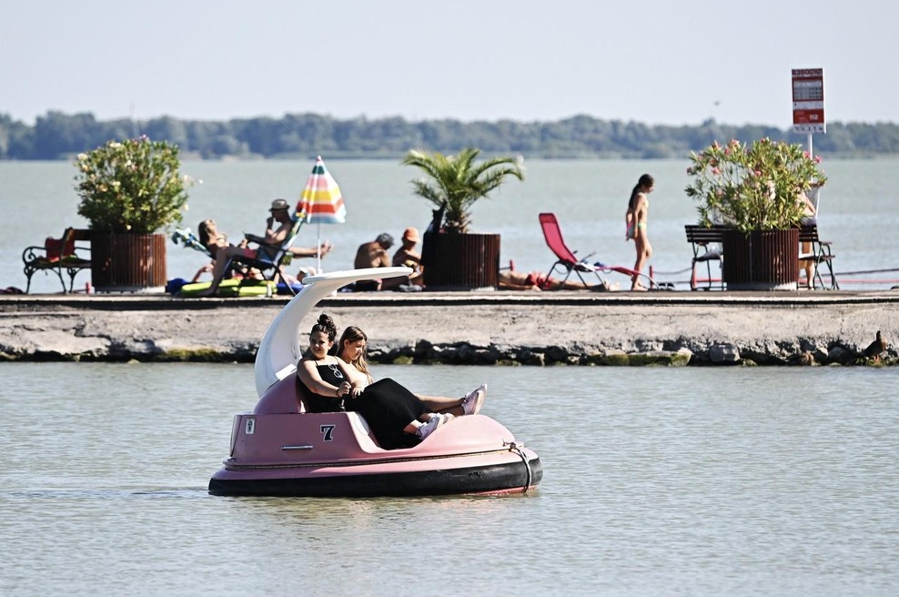 Turisti med kopanjem zagledali prizor, od katerega jim je zaledenela kri v žilah: skrivnostno morsko bitje se je pojavilo tik ob obali (gre za to žival) (foto: Profimedia)