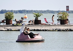 Turisti med kopanjem zagledali prizor, od katerega jim je zaledenela kri v žilah: skrivnostno morsko bitje se je pojavilo tik ob obali (gre za to žival)