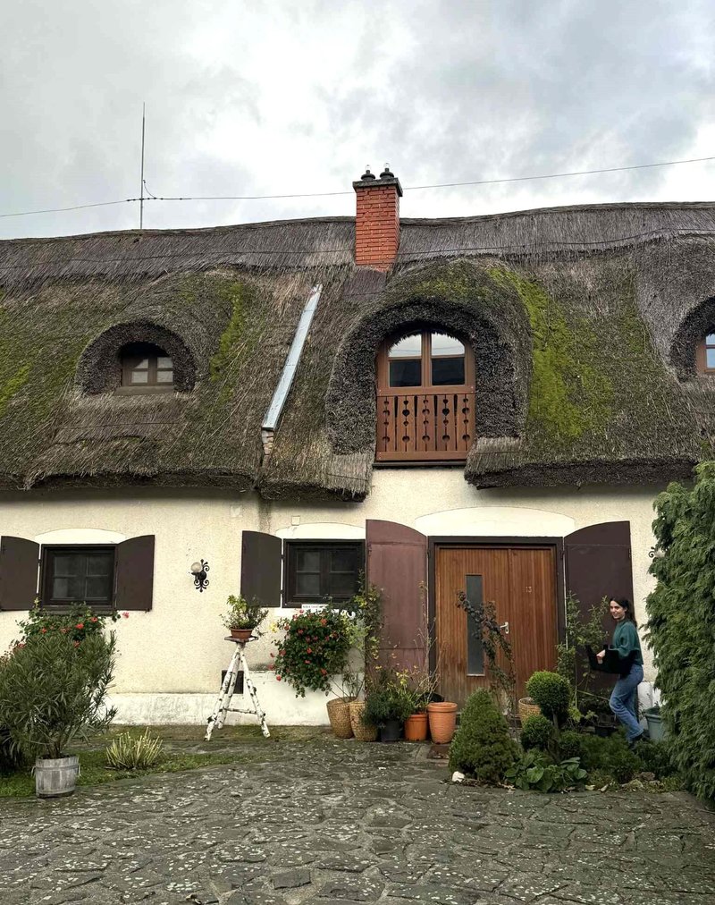 Madzarska Balaton Tihany hotel