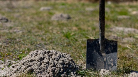kitajska rudnik zlato odkritje bogastvo azija zemlja gospodarstvo