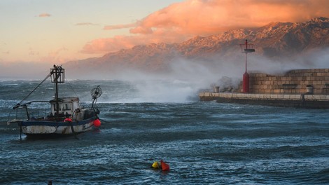 jadran tezave modra rakovica hrvaska ribici problem invazija