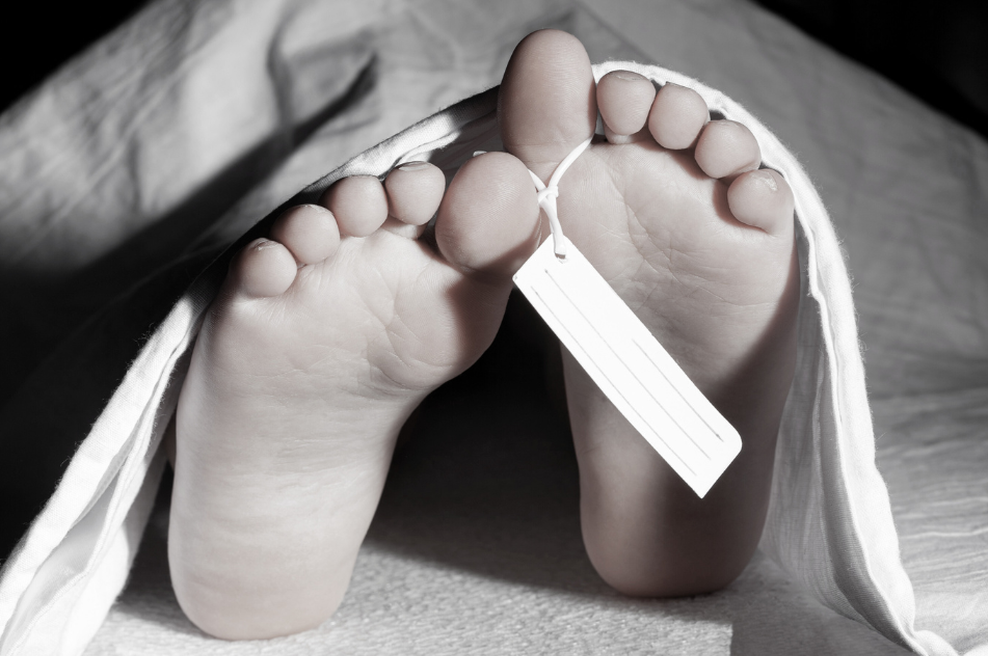 Šokanten prizor, ki človeka pusti brez besed: moški na banko prinesel truplo svoje sestre (foto: Profimedia)