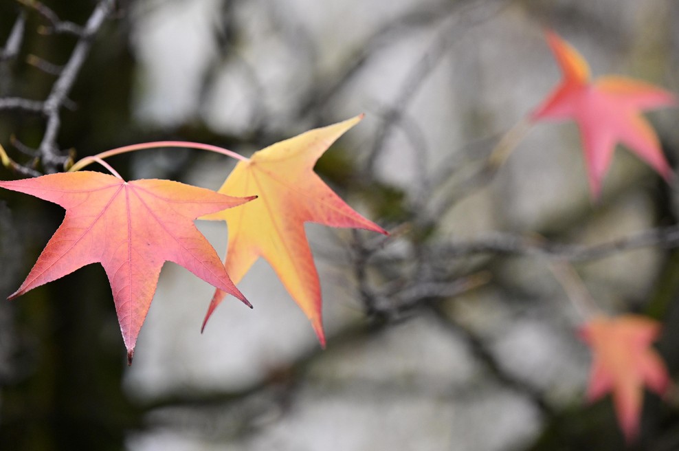 Znano je, kakšno bo vreme ta konec tedna (foto: Žiga Živulovič jr./Bobo)