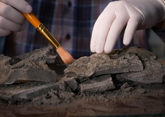 Gradbinci med prenovo legendarne stavbe obstali kot vkopani: ko so poklicali arheologe, so slednji od veselja skakali v zrak